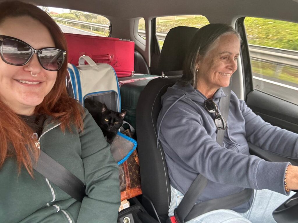 Before flying with cats in-cabin, on road trip to Lisbon with cat, luggage and mother.