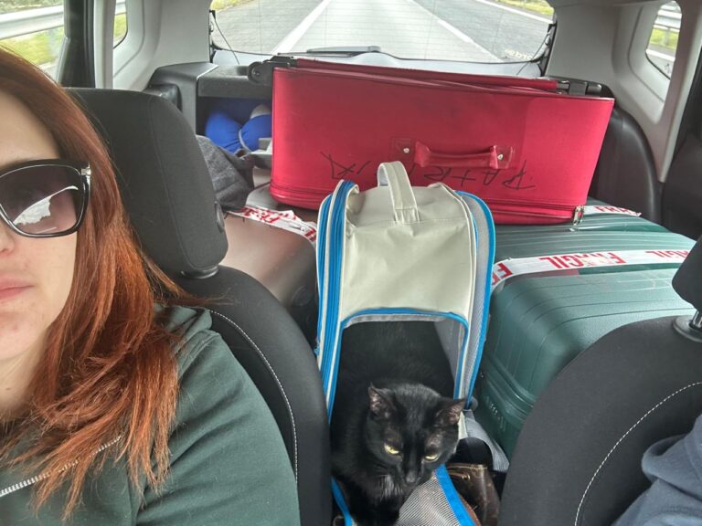 Before flying with cats in-cabin, car trip to Lisbon airport.